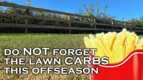 What's coming up for lawn care: mowing, watering, fertilizing & weed control during the offseason.