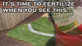 How to easily know when to fertilize your lawn just by looking at it. 3 telltale signs it's time.