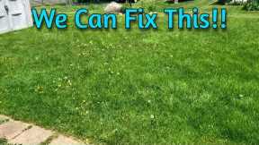 Cheap and Easy Lawn Care Program: Spring Fertilizer and Weed Killer