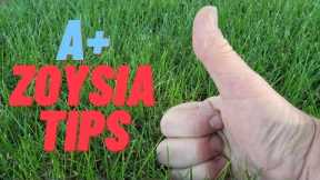 Lawn Care Tips and Weed Control for Zoysia Lawns in Summer