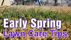 Early Spring Lawn Care Tips: What To Do First, Second, & Third