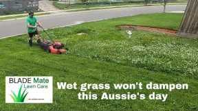 Satisfying lawn mowing   Summer in Australia