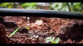 Webinar: Irrigation Check-up and Maintenance