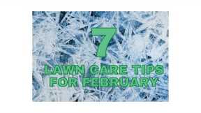 7 February lawn care tips and why 10 30 is the magic number