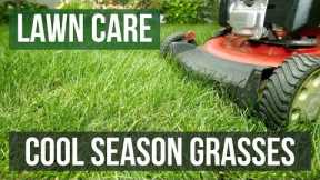 Cool Season Grasses: A Lawn Care Guide
