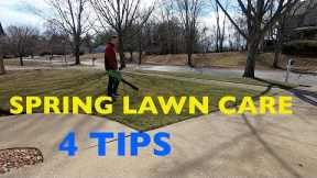 SPRING Lawn Care - What to do First?