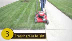 Lawn Care: Mowing Tips You May Not Know | HomeChannelTV