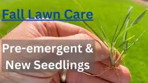 Fall Lawn Care Step 1 // Warm Season Grass Winter Lawn Prep // Pre Emergent on New Seed