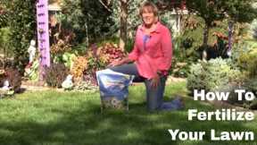 How To Fertilize Your Lawn