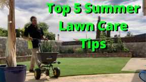 Top 5 Summer Lawn Care Tips