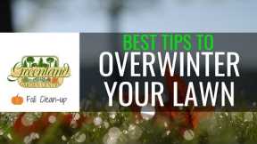 EXPERT Tips for Fall Lawn Care | Complete Grass Guide
