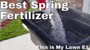 Ginja's spring lawn care fertilization.  2019 Spring lawn care step 1 This is My Lawn