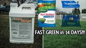 The BEST SPRING Lawn FERTILIZERs for Cool-Season Grass // GREEN-UP in 14 DAYS // Spring LawnTips