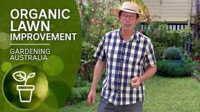 Organic tips to control weeds and improve your lawn
