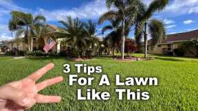 Florida Winter Lawn Care Tips