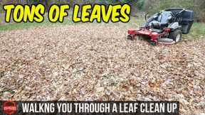 How To Do A Fall Leaf Clean Up - $145 In 1.5 Hours, Bagging Leaves | Simple Basic Clean Up