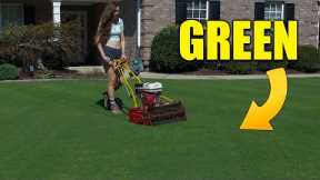 Dark Green Fall Lawn - Fertilize and Reel Mow