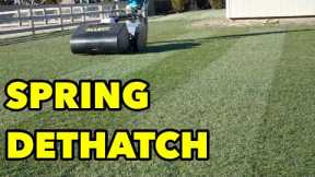 Spring Dethatching Lawn Care YES or NO?