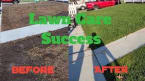 Finding Lawncare Success Can Be Easy: Fall Lawn Update!!#diy #lawn #mowing #grass