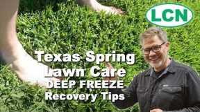 Texas Spring Lawn Care - DEEP FREEZE Recovery Tips