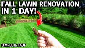 LAWN Renovation IN ONE DAY! Fall Lawn Care