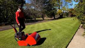This Video Will Make You ENJOY Lawn Mowing