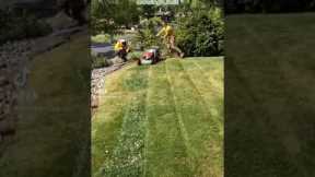 Lawn Care Mowing Tip (adding stripes) #shorts