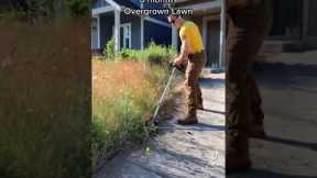 OVERGROWN LAWN MOWING - Oddly Satisfying Lawn Care Business #shorts