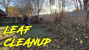 Yard Makeover Fall Leaf Cleanup Lawn Care