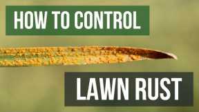 How to Control Lawn Rust (4 Easy Steps)