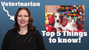 Holiday Pet Safety Tips You NEED to Know! | A Veterinarian Explains