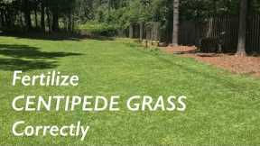 How to FERTILIZE Centipede Grass | Centipede Lawn Care