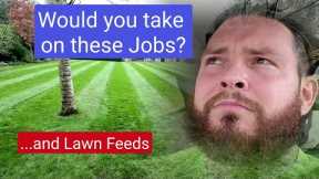 Garden Maintenance || Would you take on these jobs? PLUS Lawn Feeds