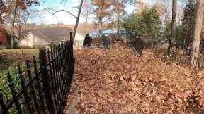 Leaf CLEANUP Army Can't be STOPPED Insanely FAST leaf Cleanup