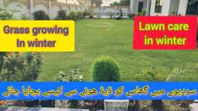 How to Do Winter Lawn Maintenanc||Winter Lawn Care Tips||Grass care in winter