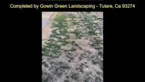 UPDATED 12-23-2022 - My Experience with Gowin Green Landscaping, Tulare, Ca 93275