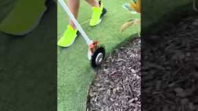 Oddly Satisfying Lawn Edging Garden Bed with Stihl Power Rotary Scissors #shorts