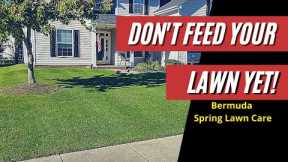 When Should I Fertilize My Lawn? Bermuda Lawn Care Tips 2021