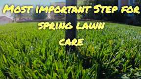 The Most Important Step for Spring Lawn Care