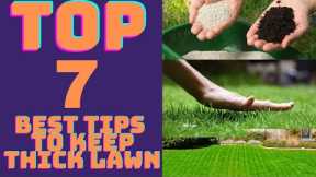 Top 7 Best Tips To Get Thicker Lawn And Keep It
