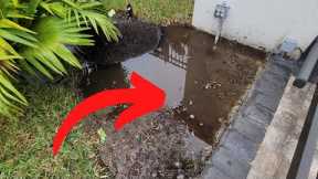 How To Repair Standing Water Lawn Problems Permanently -  Professional French Drain Installation ✔