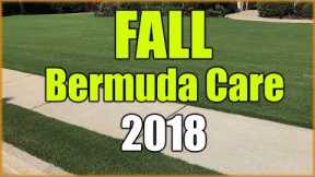 Fall Bermuda Grass Care and Fertilizer