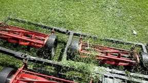 7 gang reel lawn mower. Part 1 cutting grass