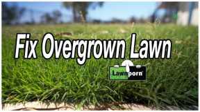 3 EASY FIXES for OVERGROWN LAWN - Part 1