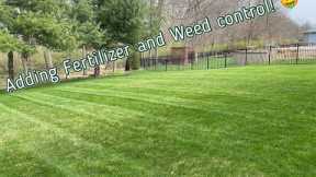 How to make more money in lawn care (adding fertilizer and weed control)