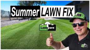 Summer Lawn Fix: Great Results 2023
