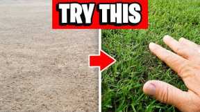 Lawn Care Tips for Greenest Spring Lawn
