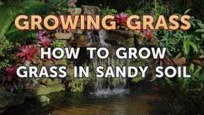 How to Grow Grass in Sandy Soil