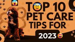 Top 10 Pet Care Tips Must Know For 2023 | Tim's Adventures