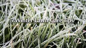 5 Winter Lawn Care Tips